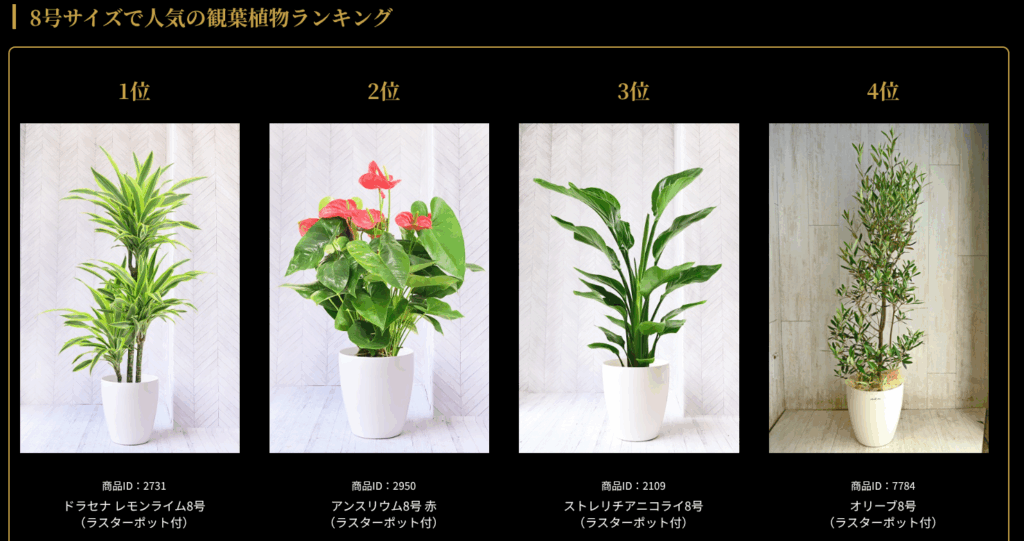 プレミアムガーデン公式 観葉植物